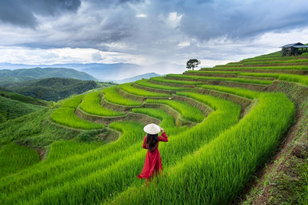 Vietnam is famous as a destination with diverse costs, attractive landscapes and many interesting experiences